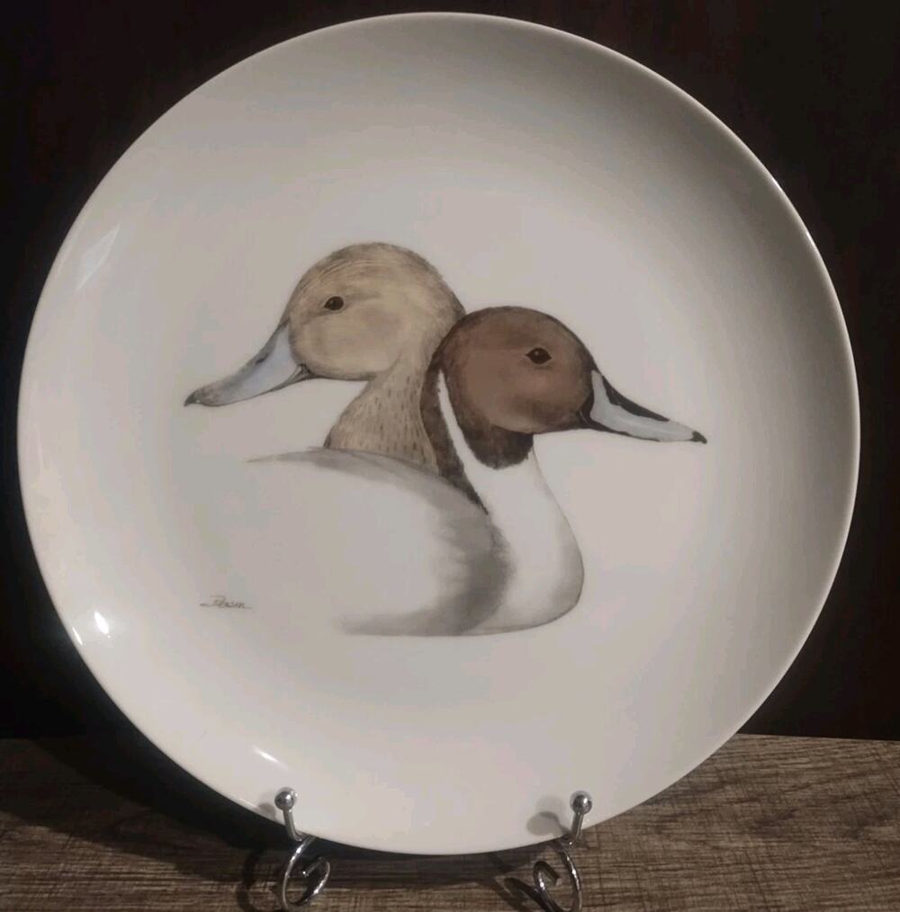 1962 Delano Studios Vintage Hand Colored Duck Plate Pierson Waterfowl Made USA